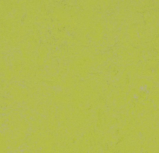 Линолеум Forbo Marmoleum Solid Concrete 3742/374235 green glow