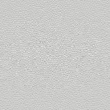 Линолеум Forbo Safestep Aqua 180262 trout